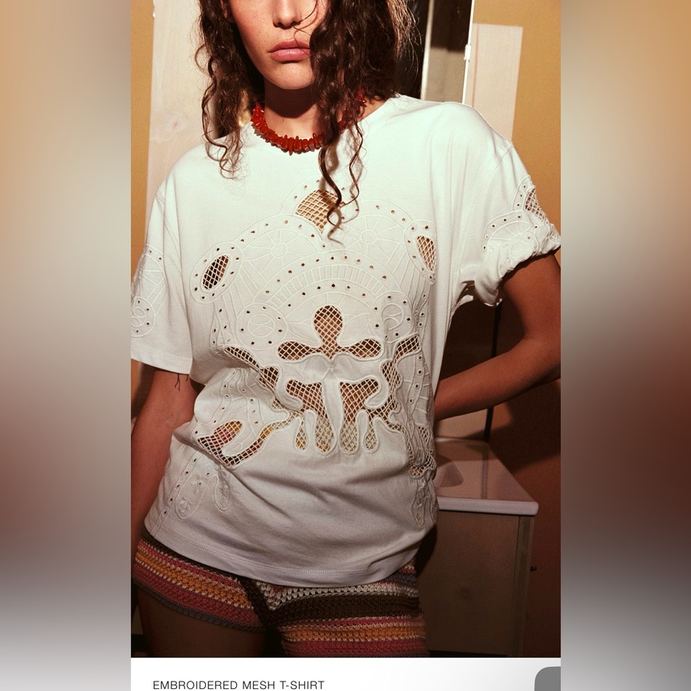 Zara Embroidered Mesh T-shirt Small